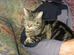 Click on one of the size names below to enlarge this image