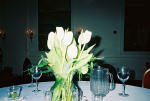 Click on one of the size names below to enlarge this image