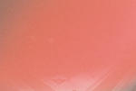 Click on one of the size names below to enlarge this image