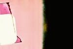 Click on one of the size names above to enlarge this image