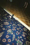 Click on one of the size names below to enlarge this image
