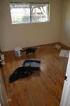 Click on one of the size names above to enlarge this image