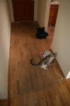 Click on one of the size names above to enlarge this image