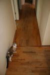 Click on one of the size names above to enlarge this image