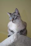 Click on one of the size names below to enlarge this image