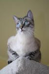 Click on one of the size names below to enlarge this image