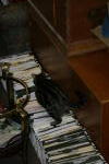 Click on one of the size names below to enlarge this image