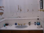 Click on one of the size names above to enlarge this image