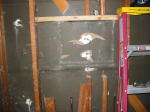 Click on one of the size names above to enlarge this image