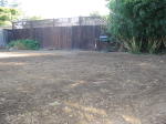 Click on one of the size names below to enlarge this image