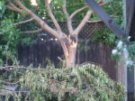 Click on one of the size names below to enlarge this image