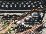 Click on one of the size names below to enlarge this image
