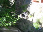 Click on one of the size names below to enlarge this image