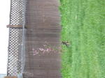 Click on one of the size names below to enlarge this image