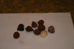 Click on one of the size names below to enlarge this image